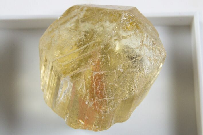 Terminated Yellow Marialite (Scapolite) Crystal - Tanzania #345759